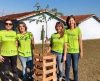 Verdejar realiza plantio nas regiões do Leporace, Tropical, Redentor e Luiza - Jornal da Franca