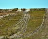 Ação de trilheiros/jipeiros causa problema ambiental na Serra da Canastra - Jornal da Franca