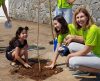 Grupo Verdejar Franca busca voluntários para plantio de 3,5 mil mudas - Jornal da Franca