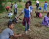 1.200 alunos fazem plantio de mudas pelo Projeto Alfabetização Ambiental - Jornal da Franca