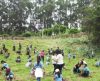 Parque dos Trabalhadores recebe mudas plantadas por mais de 600 alunos - Jornal da Franca