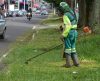 Canteiros e praças de Franca têm trabalho de podas intensificado - Jornal da Franca