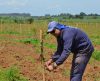 Aterro Sanitário de Franca  começa processo de arborização com plantio - Jornal da Franca