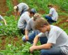 Colégio Agrícola de Franca seleciona profissionais: Saiba quais áreas e salários - Jornal da Franca