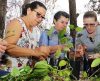 Seguem abertas inscrições de curso gratuito de plantas medicinais em Franca - Jornal da Franca