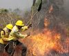 Trabalho: Ibama contratará 1,4 mil brigadistas para atender as emergências - Jornal da Franca