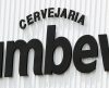 Ambev, Santander e Heineken: 8 empresas têm vagas de trainee abertas - Jornal da Franca