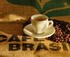 Café: clima segue ditando ritmo ao mercado do produto. Confira - Jornal da Franca