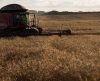 Safra: Ipea prevê menor crescimento do agronegócio em 2021 - Jornal da Franca