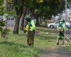 Em Franca, canteiros da av. Presidente Vargas recebem cuidados e melhorias - Jornal da Franca