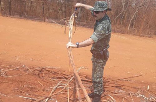 Polícia Florestal deflagra operação na região de Franca para evitar as queimadas - Jornal da Franca