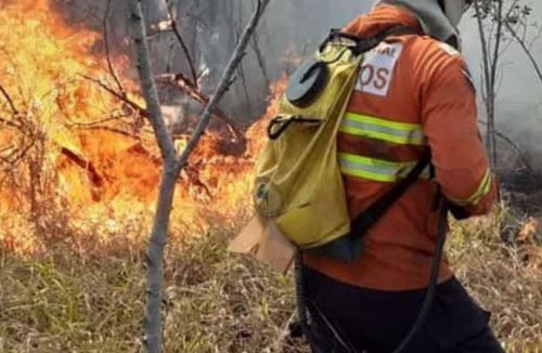 Queimadas cobrem de fumaça cidades da região; Morro Agudo decreta calamidade - Jornal da Franca