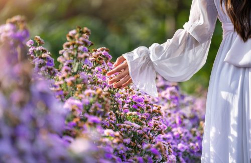 Primavera já começou e francanos colocam fé na mudança das condições climáticas - Jornal da Franca