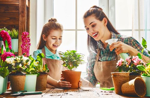 Mundo verde: Estudo mostra que adultos são mais felizes cercados por plantas - Jornal da Franca