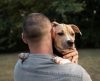 Olhos dos cães se enchem de lágrimas quando se reencontram com seus donos - Jornal da Franca