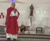 ‘Frei Pedrinho’: de batina, vira-lata caramelo acompanha missas no altar de igreja - Jornal da Franca