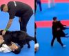 Cão “pacifista” invade arena para separar “briga” de lutadores de jiu-jitsu - Jornal da Franca