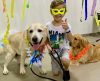 Ideia chegou por aqui: cachorros fazem visita às crianças internadas em hospital - Jornal da Franca