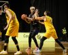 Sesi Franca Basquete ignora pressão uruguaia e vence o Penarol pela Champions League - Jornal da Franca