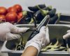 Franca prepara Conferência de Segurança Alimentar para terça-feira, 11 - Jornal da Franca