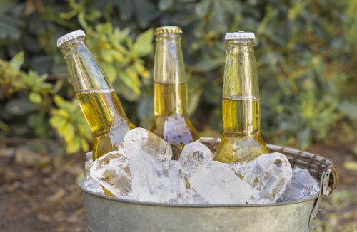 Por que a cerveja fica melhor quando está gelada? - Jornal da Franca