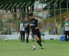 Lanchão receberá Botafogo x Novorizontino pela Copa São Paulo na noite desta sexta - Jornal da Franca