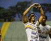 Franca dá sorte ao Tigre na Copinha: time decide vaga na final contra o Corinthians - Jornal da Franca