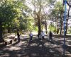 Bosque dos Angicos será administrado por ONG e receberá obras de revitalização - Jornal da Franca