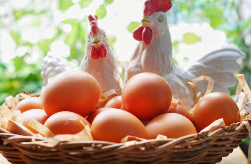 Você sabe quais os benefícios do ovo caipira? Descubra aqui! - Jornal da Franca