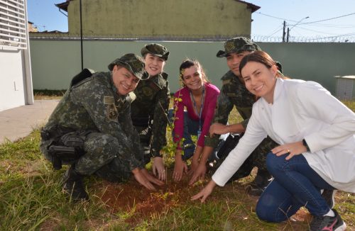 Plantio de árvores e ações ambientais marcam Semana do Meio Ambiente em Franca - Jornal da Franca