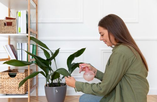 Mantenha as plantas de sua casa perfeitas usando apenas ingredientes de cozinha - Jornal da Franca