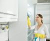 Veja como limpar a borracha da geladeira e tirar todo mofo e sujeira grudada - Jornal da Franca