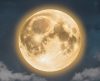 Saiba o que é “Lua do Veado”, fenômeno da Lua Cheia e quando vai acontecer em julho - Jornal da Franca