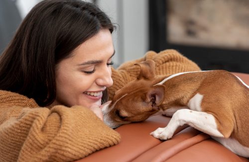 Apego a animais de estimação: como cães e gatos influenciam a saúde mental - Jornal da Franca