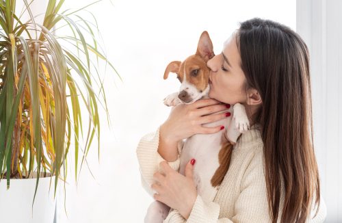 Transformação nos lares: pets saem da posição de melhor amigo e se tornam filhos - Jornal da Franca