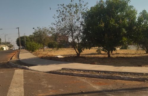 Calçada no Parque das Joaninhas dará conforto e segurança para população caminhar - Jornal da Franca