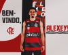 Campeão mundial pelo Sesi Franca, armador Alexey  Borges fecha com o Flamengo - Jornal da Franca