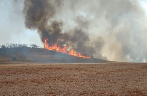 3 são presos por provocar incêndios criminosos na região de Franca e outras cidades - Jornal da Franca