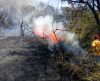 Governo emite alerta de risco elevado de incêndios florestais na região de Franca - Jornal da Franca