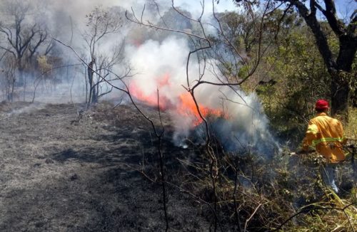 Governo emite alerta de risco elevado de incêndios florestais na região de Franca - Jornal da Franca