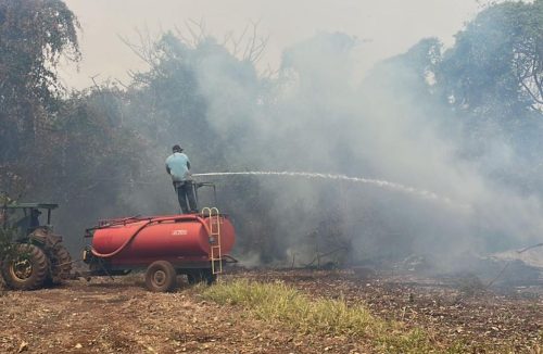 Deputada Graciela pede incentivo a produtores rurais impactados pelas queimadas - Jornal da Franca