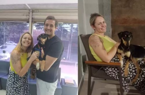 Família viaja 100km para adotar um cão vira-lata rejeitado em 20 feiras de adoção - Jornal da Franca