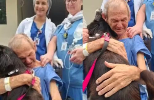 Amor que cura: idoso se recupera após visita de sua cachorrinha em hospital - Jornal da Franca