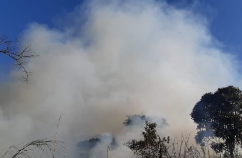 Defesa Civil emite alerta para muito calor e risco de incêndios na região de Franca - Jornal da Franca