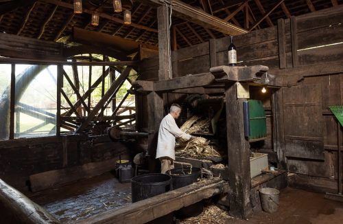 Dia Nacional da Cachaça: Fazenda na região de Franca produz a bebida há 160 anos - Jornal da Franca