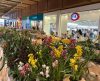 Franca Shopping recebe Feira de Orquídeas com variedades exclusivas - Jornal da Franca