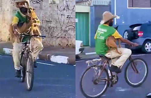 Aconteceu em Franca: veterinária registra homem na bicicleta com cães e se emociona - Jornal da Franca