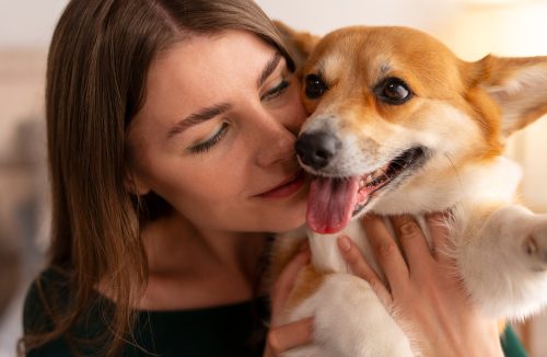 Ter um cachorro em casa é bom para a saúde? Sim, e a ciência explica a razão - Jornal da Franca