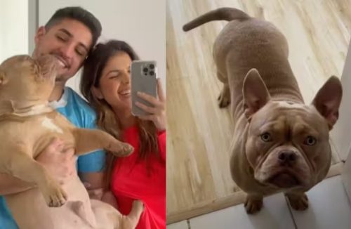 Cachorro faz xixi no lugar certo e pede recompensa para tutora; vídeo fofo - Jornal da Franca