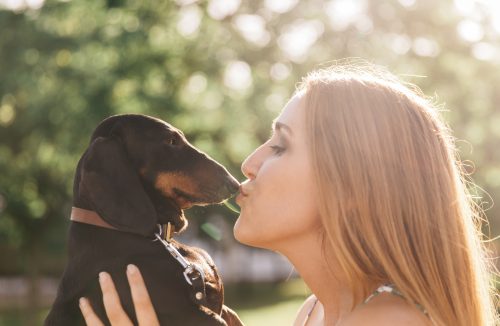 Beijo do doguinho? Entenda o risco do gesto para a saúde dos donos e dos pets - Jornal da Franca